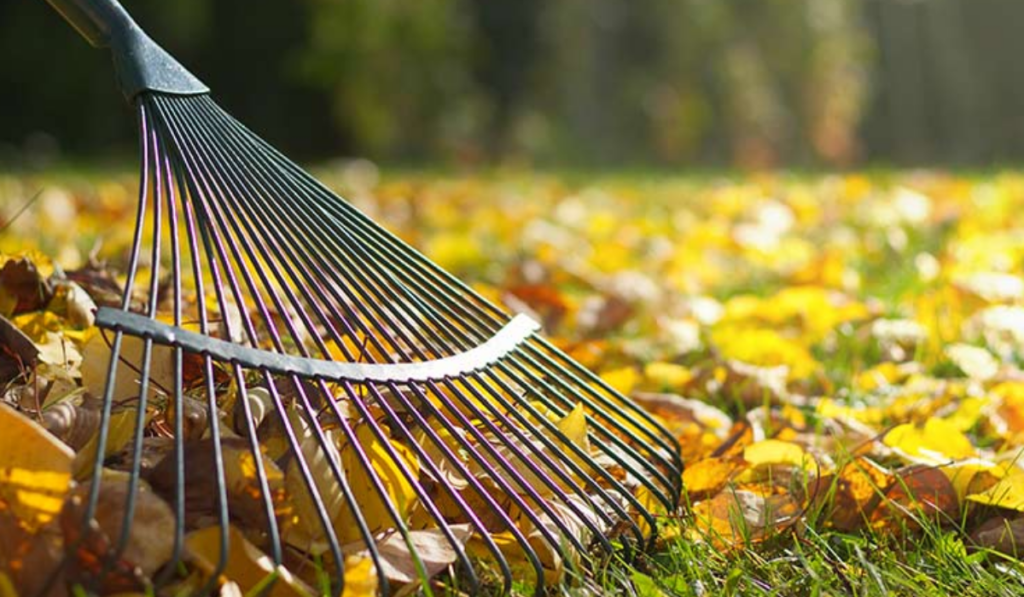 Yard Busters Landscaping - Fall Cleanup and Leaf Removal