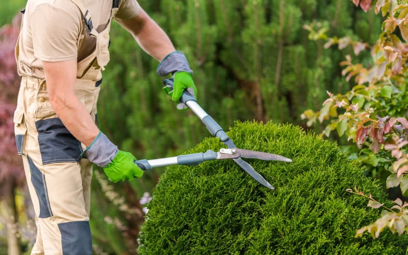 Yard Busters Landscaping - Hedge Trimming Services Calgary