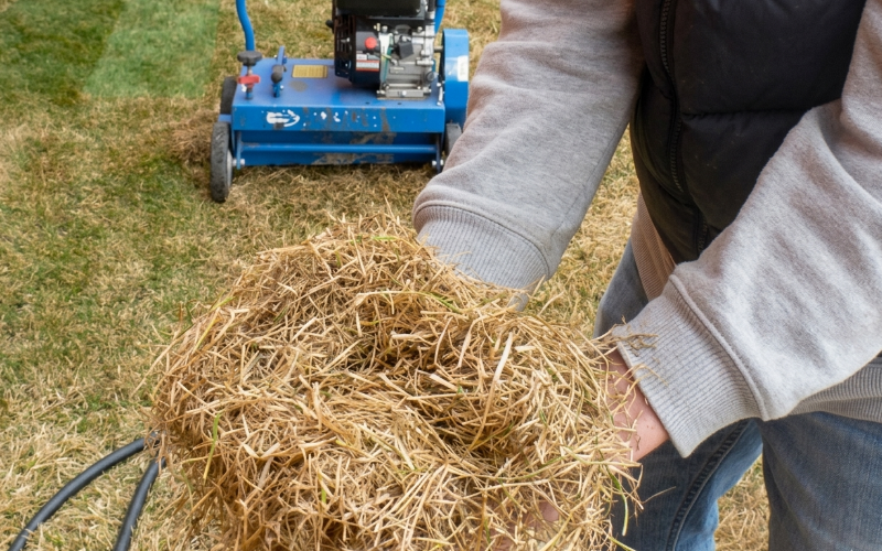 Yard Busters Landscaping - Power Raking Services