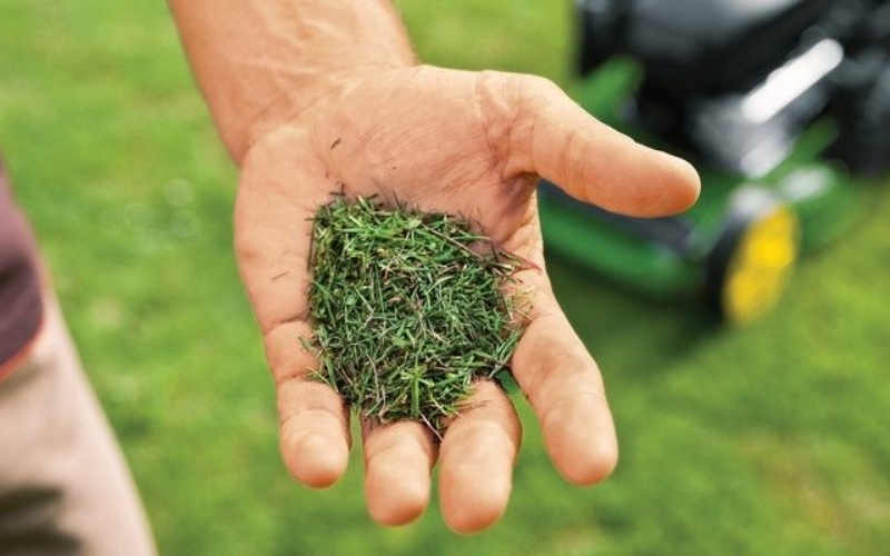 Yard Busters Landscaping - SOD Installation - Clipping Management