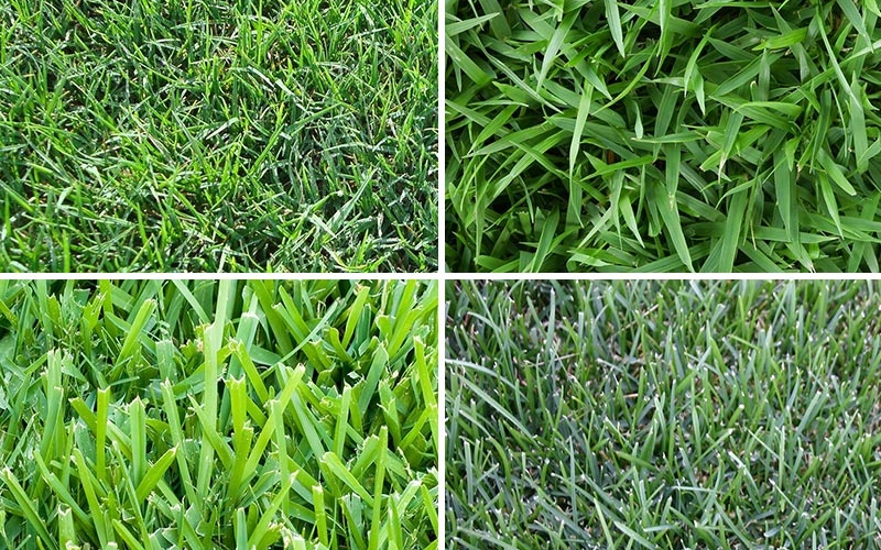 Yard Busters Landscaping - SOD Installation - Deep Dive