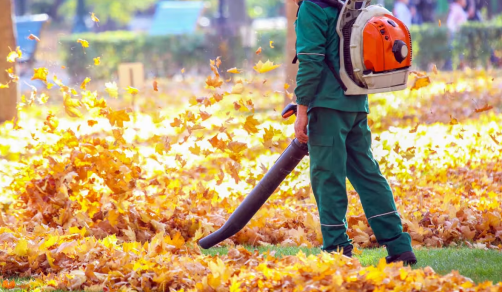 Yard Busters Landscaping - Spring Yard Cleanup