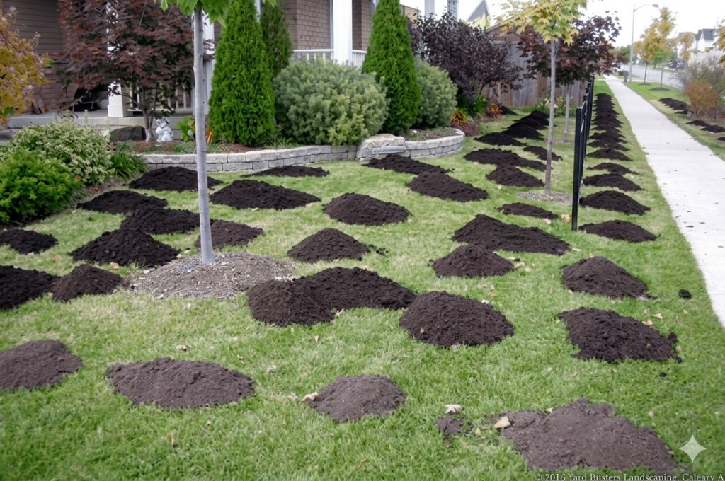 Yard Busters Landscaping - Top Dressing and Levelling in Calgary